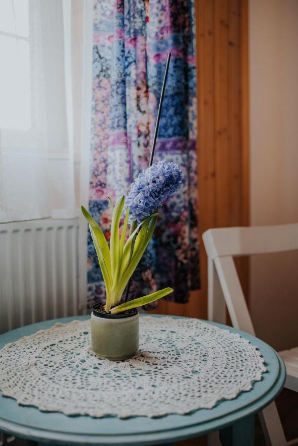 Dom Goscinny Sowia Stopka Miłomłyn Bagian luar foto