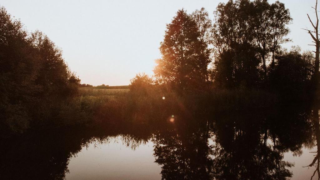 Dom Goscinny Sowia Stopka Miłomłyn Bagian luar foto