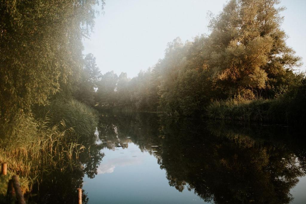 Dom Goscinny Sowia Stopka Miłomłyn Bagian luar foto