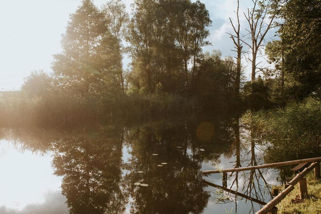 Dom Goscinny Sowia Stopka Miłomłyn Bagian luar foto