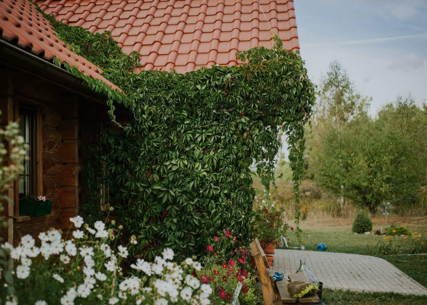 Dom Goscinny Sowia Stopka Miłomłyn Bagian luar foto